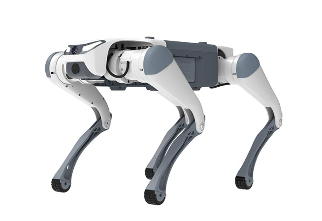 会撒娇会干活【梦中情狗】来了